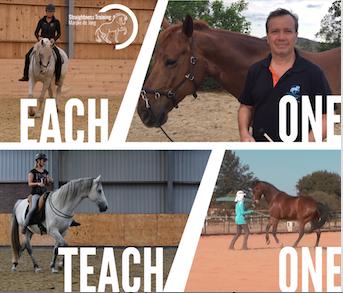 Each One, Teach One 'Each one' who enters the ST Academy starts to 'teach one' horse.