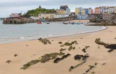 Unit 3: Beach environment Beach locations Harbour beaches Motorised boats and