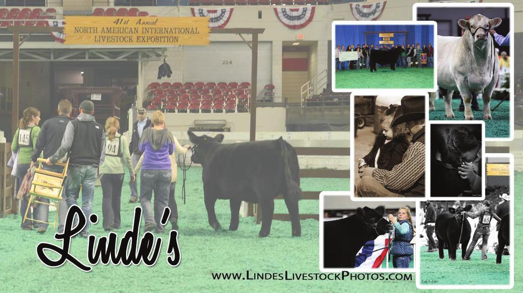 JUNIOR SHOW RULES & INFORMATION Early Etry Deadlie - October 12, 2018 at oo Late Etry Deadlie - October 14 at 11:59 p.m. All aimals must be pre-registered olie through the lik available at mbeefexpo.