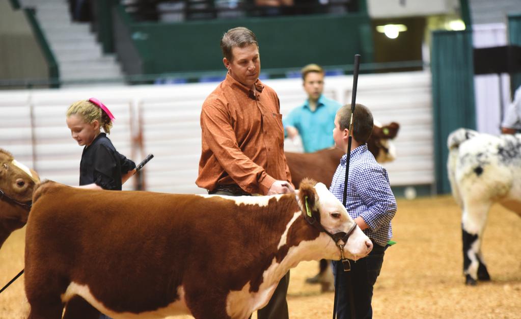 SHOWMANSHIP COMPETITION Friday, October 19, 2018 4 p.m. Sposored by Miesota Livestock Breeders Associatio Miesota State Fairgrouds, St.