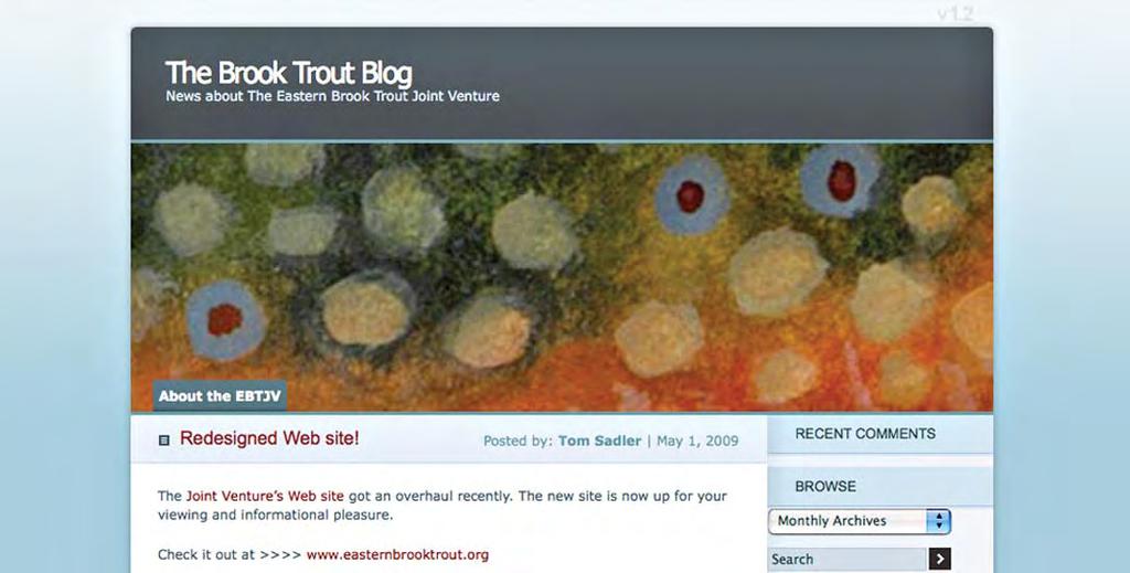 Brook Trout on Social Networks The joint venture recently increased its communication reach with some social media tools. We now have a blog and joined three social networking sites.