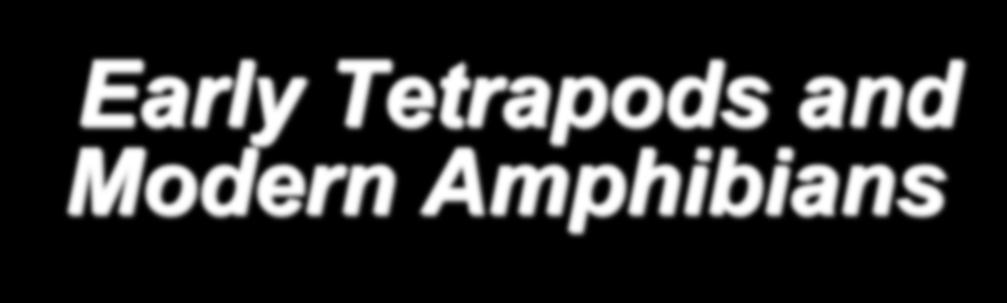 Tetrapods