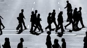Research hypotheses Demographics Age & gender: Younger and male pedestrians are more risktaking Income: low income, perceived social inequality and the lack of alternatives to walking lead to more