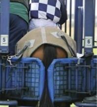Barrier Blanket Provision: A Barrier Blanket may be used at the barriers in races or trials, subject
