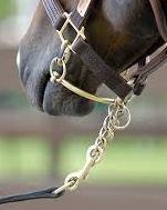 Rearing Bit Stallion Chain Safety Irons Safety Irons: Must be used for