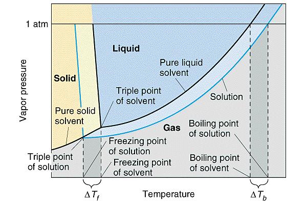 Vapor Pressure Lowering for a Solution The diagram below shows