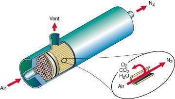 MEMBRANE TECHNOLOGY The air we breathe contains approximately 78% nitrogen, 21% oxygen and 1% argon.