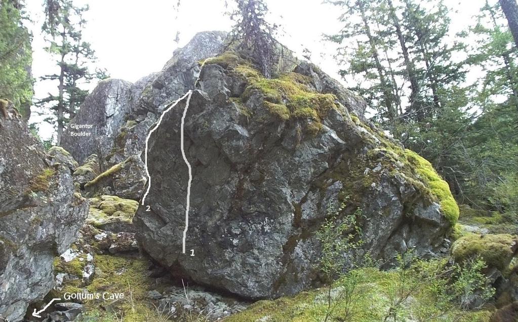 the boulder. A fun dyno for sure. (FA: Dave Ferguson 2002) 2.