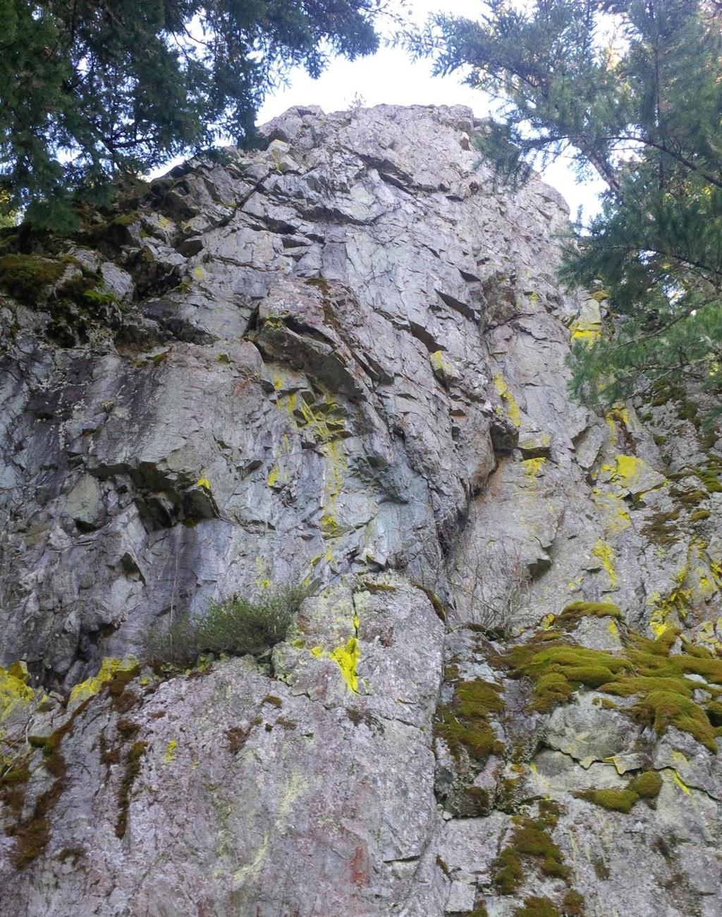 Large 30+ meter cliff