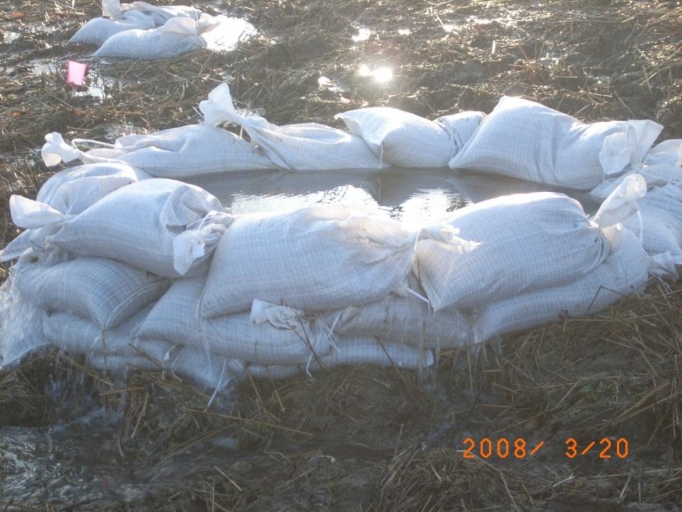 This is a photograph of another boil on the interior side of the Rock Knoll at Zoar Levee in March 2008.