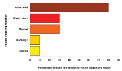 5.3 Fish Migration Patterns Figure 8 Migratory behaviour and sensitivities to migration triggers among 768 species (Baran 2006).