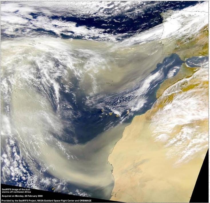 The prevailing winds deliver iron-rich dust to the ocean in the north Atlantic.