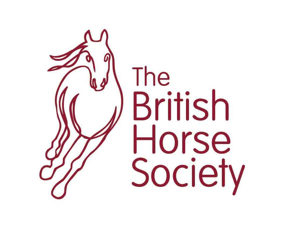 Syllabus and Guidelines For candidates preparing for THE BRITISH HORSE