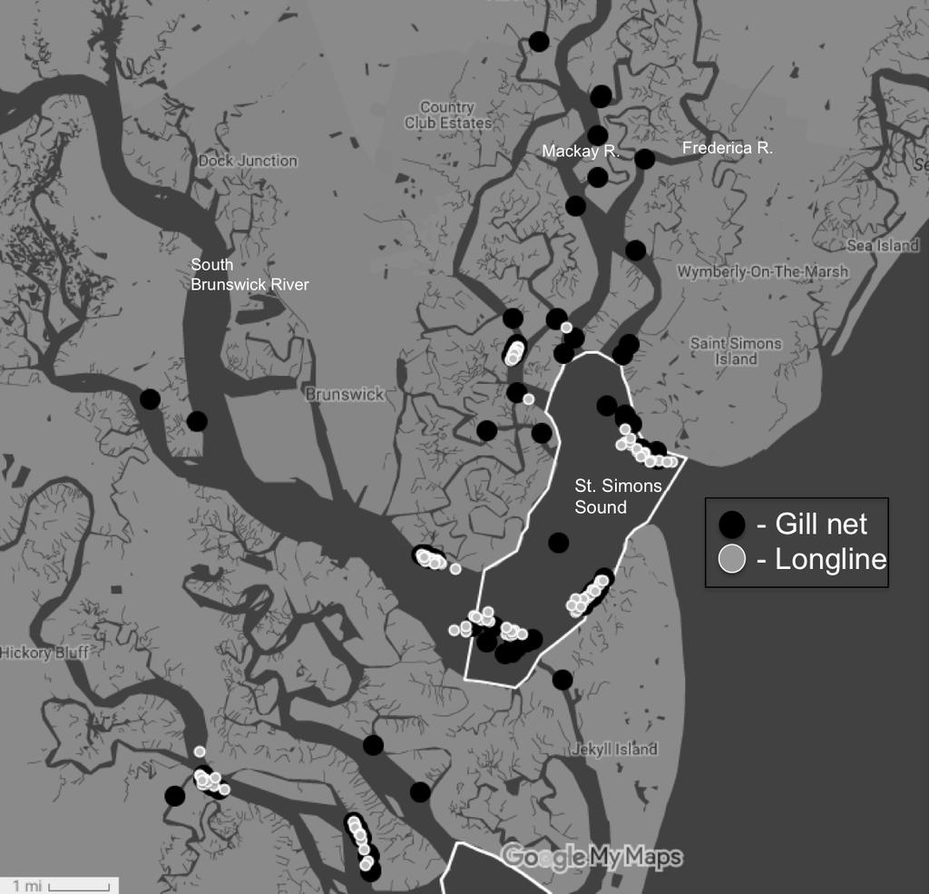 Figure 2. Map of sampling locations around the St. Simons Sound.