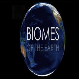 Choose five different biomes such as deserts, grasslands, or rainforests and research the percentage of Earth that each biome covers.