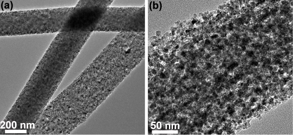 Figure S1. TEM images for the PLTO nanofibers.