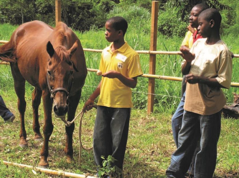 While running my riding school I was also approached by a school/nursery that catered to special needs children who were all physically impaired, mostly with multi dysfunctions.