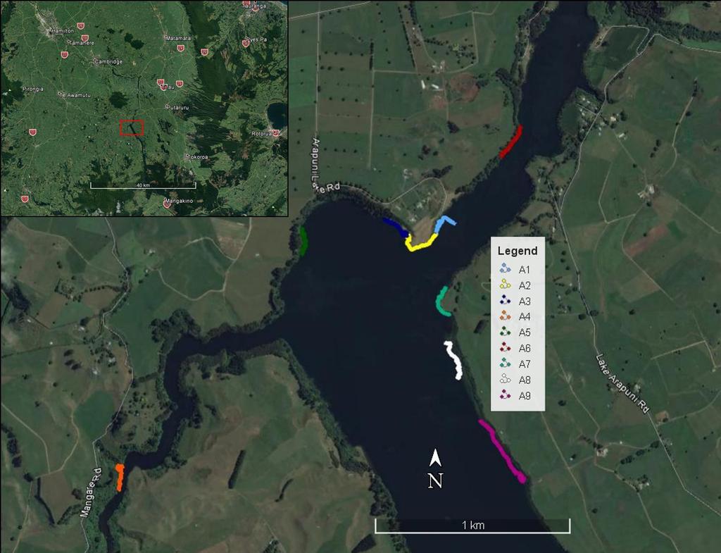 Figure 1. Boat electrofishing transects conducted on Lake Arapuni on 2 February 2017. A total of nine transects were conducted and are designated A1 A9.