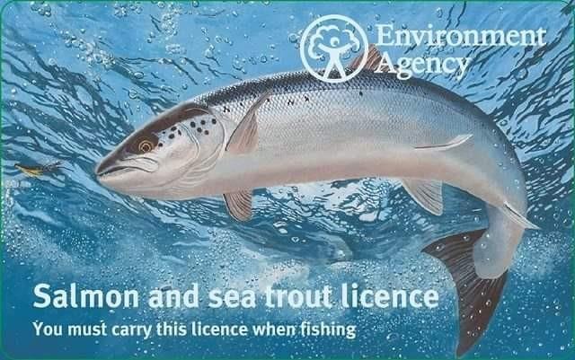 New Rod Licensing system Most of the work that we do, including projects, incident response and surveys, is funded by rod licence fees. You can now buy your rod licence from our website www.