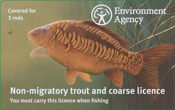 There are three different types of rod licence available: Salmon and sea trout licence; Close Season reminders The close season for salmon and migratory trout (in all waters) is the period from 8th.
