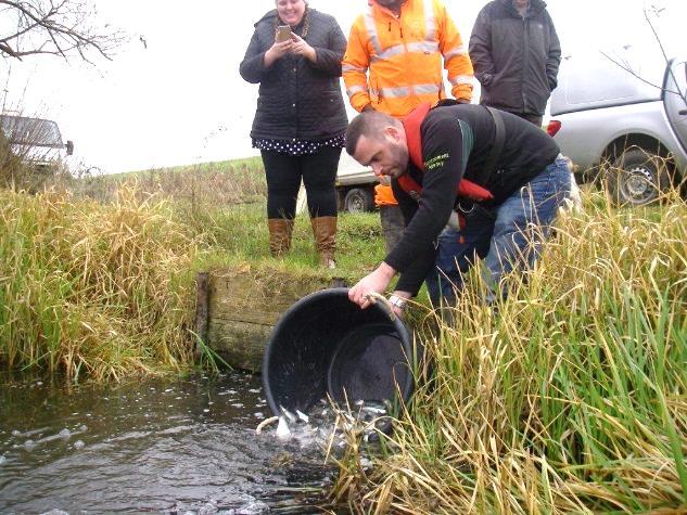 Contact your local Environment Agency office for further advice if needed, our details are at the end of this newsletter. You can use pond water testing kits to look monitor nutrient levels.
