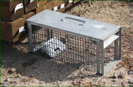Control Options Trapping Body-gripping traps,