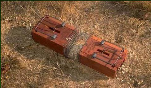 Control Options Trapping Ground squirrels Gopher box traps can be used in tandem when set along runways.