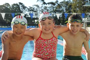 Using our image bank We ve created a small image bank for you to use to promote Optus Junior Dolphins.