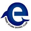 Definition of a Dive Leader A Dive Leader is defined as a diver who: Can plan and lead a range of dives including those requiring detailed dive, air and decompression requirements planning.