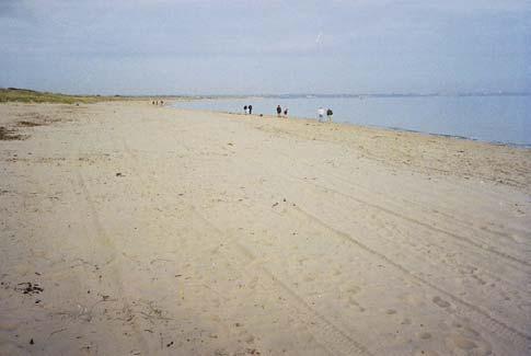 3.4 Knoll Beach to Pilot Point - STU3 3.4.1 Existing Shoreline & Defences The shoreline comprises a sandy beach, backed by dunes.