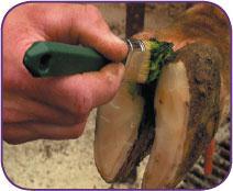 When treating with Intra Hoof-fit Gel, apply according to the following method: 1. Trim the hooves 2 to 3 times per year.