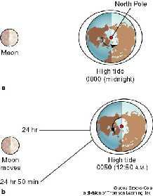 The Lunar - Tidal Day Solar Earth Day - Earth completes one rotation relative to the sun in 24 hours