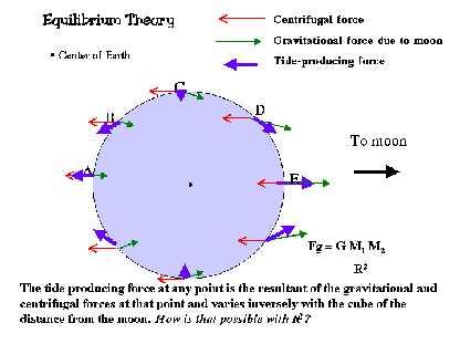 Equilibrium Theory of Tides Concepts Equilibrium theory of tides combines the fundamentals of Newtonian celestial gravity and inertia mechanics and a