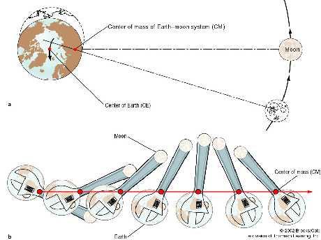Revolving Earth- Moon System Moon and Earth revolve around a