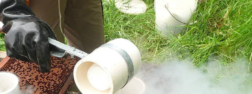 As you will notice, the photo-illustrated method involves the use of liquid nitrogen for rapid field killing of brood (in order to simulate the presence of diseased/varroa infected brood).