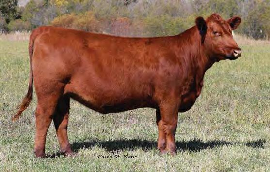 05 40 0.22 0.00 Bred to: HXC DECLARATION 5504C (#3494198) Due Date: 4/30/17 Here is a beautiful Roosevelt daughter that is built for performance.