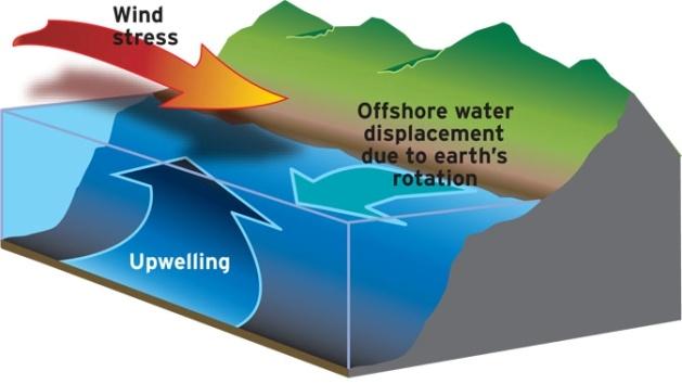 Well, Well, Well SUMMARY In this activity students investigate the relationship between winds, surface currents, sea surface temperature and upwelling and downwelling off the coast of OR and WA.