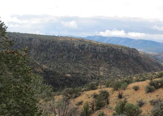 expansion into Apache Tribal Lands for several decades