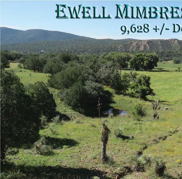 With Mimbres River frontage and tremendous grass forage, this jewel in