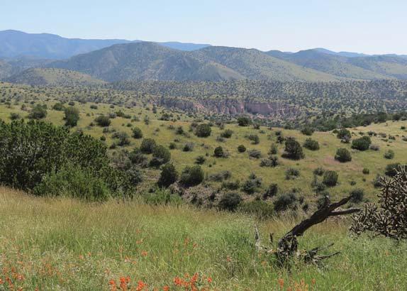 The Ewell Ranch lies just north of the community of Mimbres with its