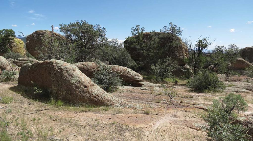A very scenic pasture known as the City of Rocks is located near the northeast corner of the property.