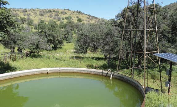 There are several storage tanks located in pastures to assure year round water for both livestock
