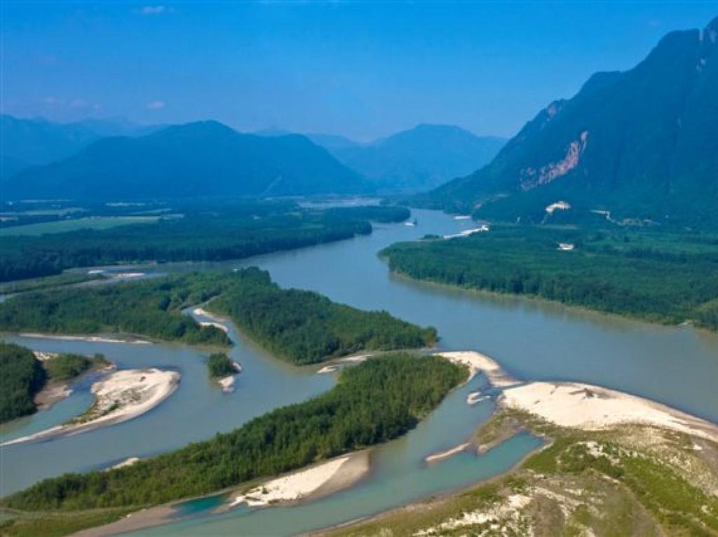 2014 Fraser discharge was average to low: No concerns for sockeye