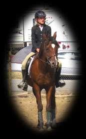 PERFORMANCE MEDALS PROGRAM: The Bi-County Performance Show Series will be offering a Medals Program Series for Senior and Intermediate 4-H members participating in the Horse Project.