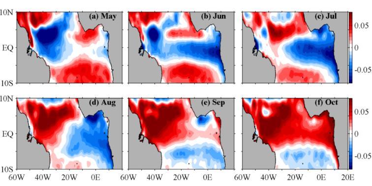 stress o Winds excite Kelvin waves; reach east by July