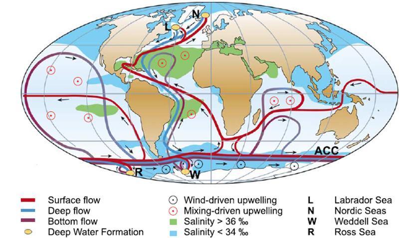 Importance of salinity density/water mass ocean