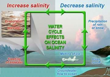 Importance of salinity OCEAN SALINITY AND CLIMATE: