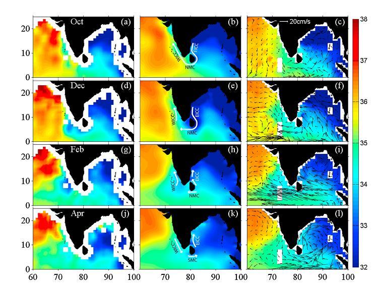 Indian Ocean Salinity SMOS Argo HYCOM SSS in