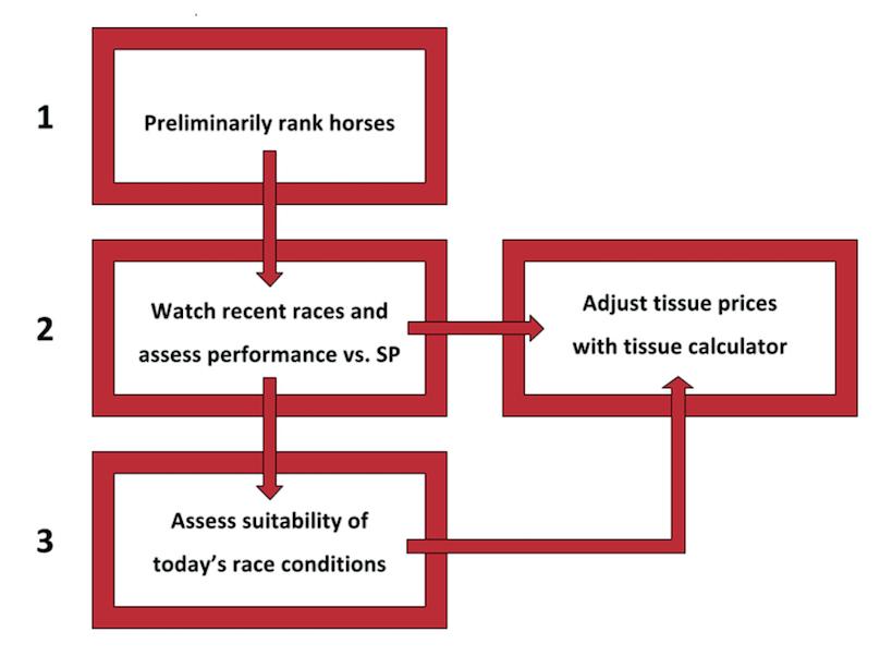 1: Preliminarily rank horses Firstly, you should preliminarily rank horses based on their likely chances of winning.