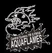 SWIM Lior Harpaz, Aquatics Director (718) 268-5011 ext. 502, lharpaz@cqy.org 28 AQUAFLAMES COMPETITIVE SWIM TEAM Sanctioned by USA Swimming Open to boys & girls: Ages 6-18 TRYOUTS: Mon. - Thurs.